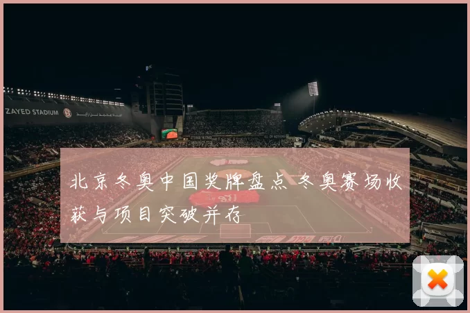 北京冬奥中国奖牌盘点 冬奥赛场收获与项目突破并存